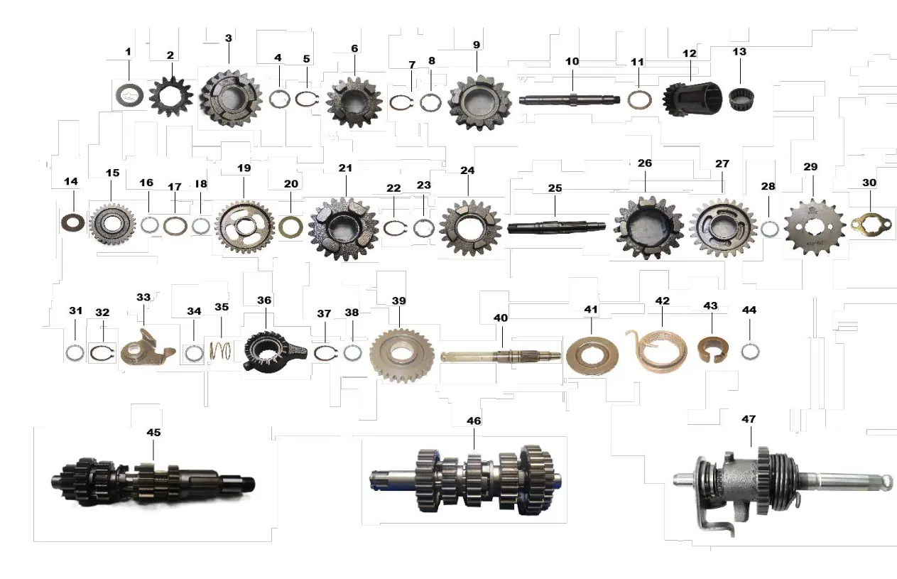 Diagrama DAKOTA 300cc Dakota Pr 300