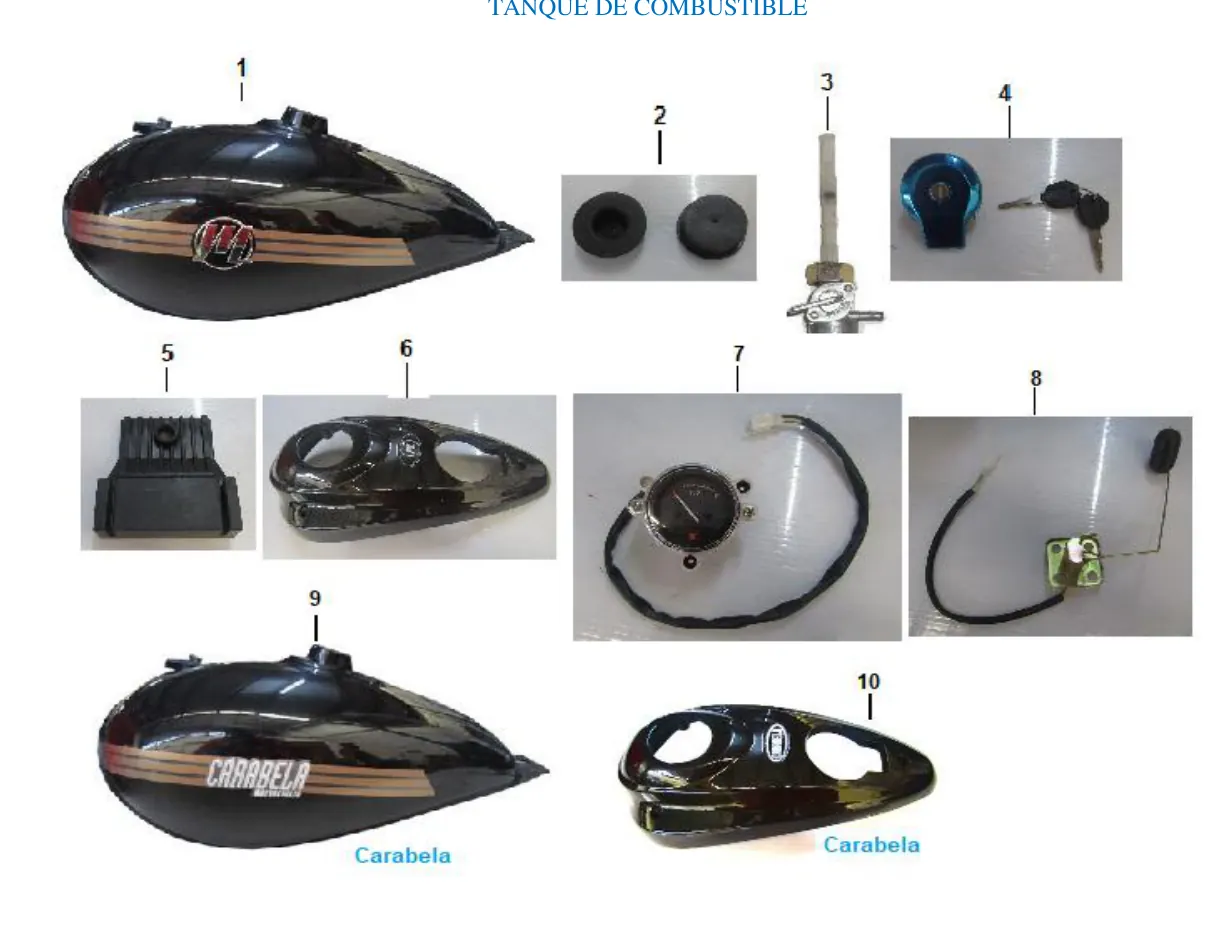 Diagrama Fishbone 2020 Fishbone 250