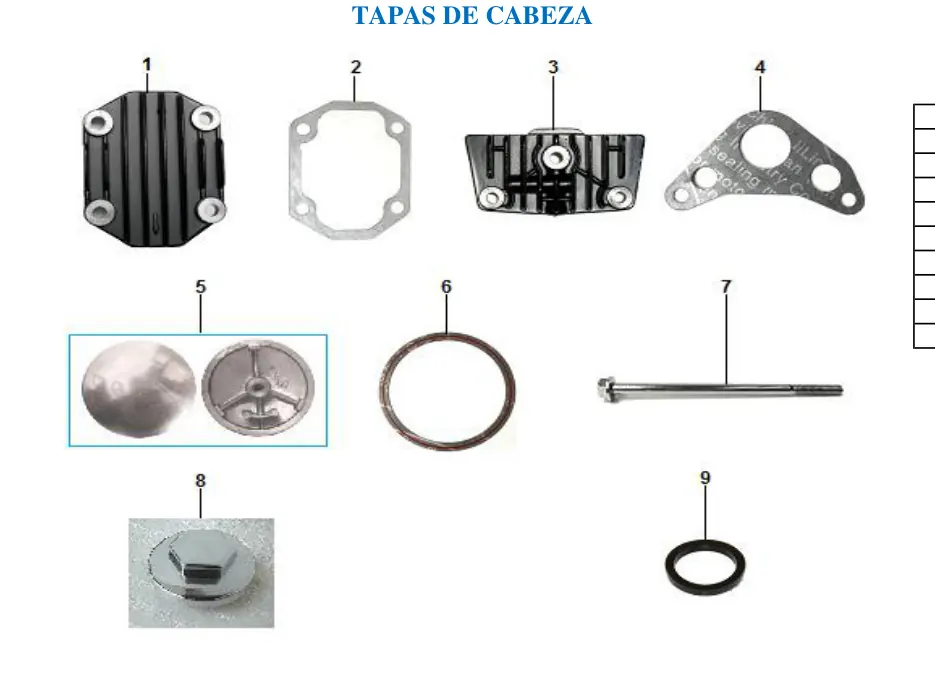 Diagrama Fly 2023 Fly 110