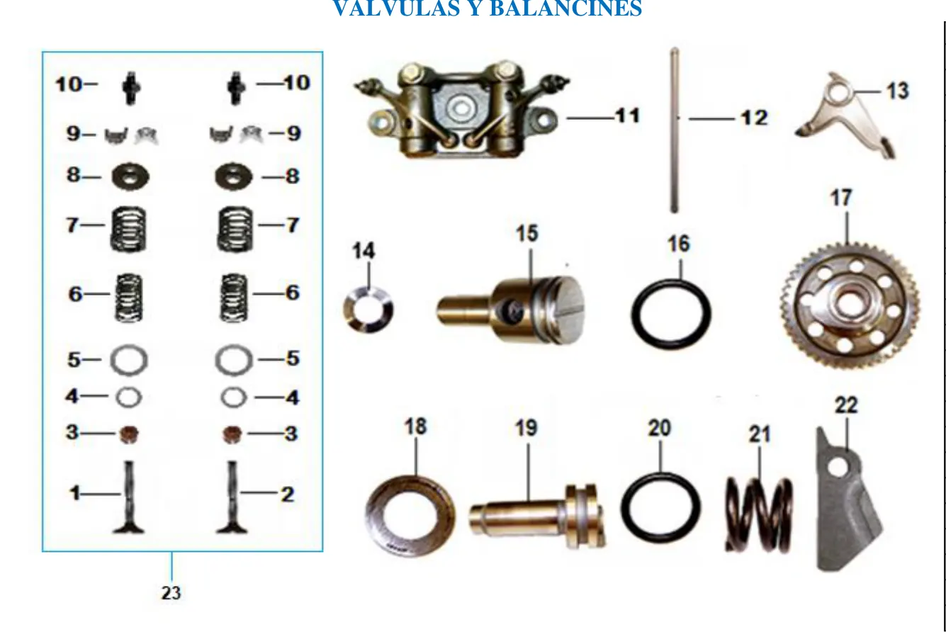 Diagrama INDY 250cc 2024 Indy 250