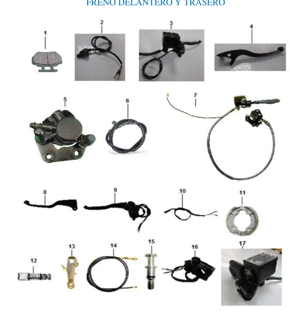 Diagrama GATOR 175cc Gator Sport 175