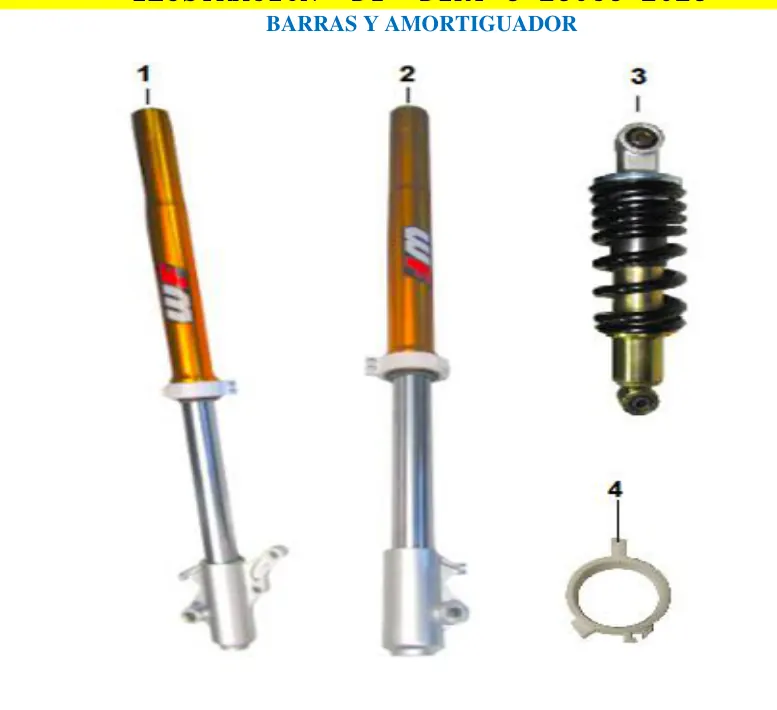 Diagrama DIRT-3 250cc 2023 Carabela Dirt3 250