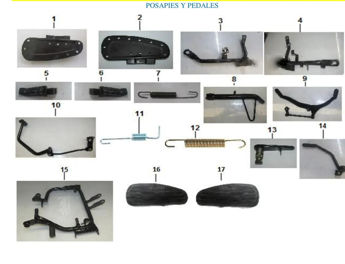 Diagrama Fishbone 2020 Fishbone 250