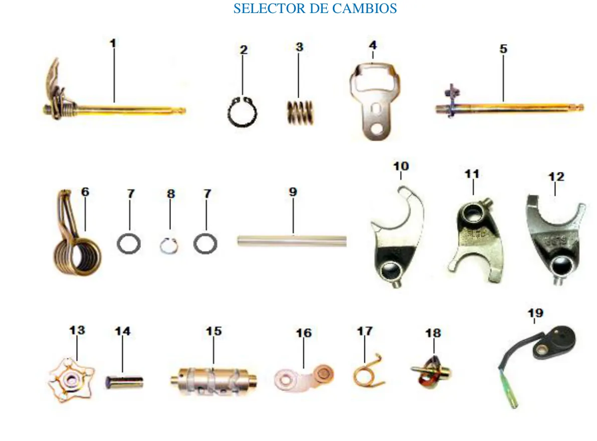 Diagrama Fishbone 2020 Fishbone 250