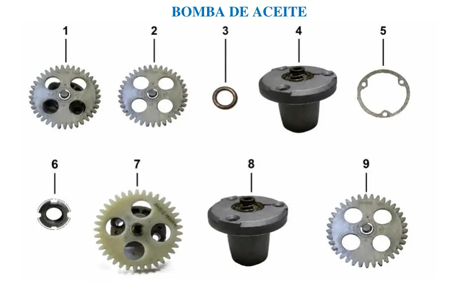 Diagrama DAKOTA 300cc Dakota Pr 300