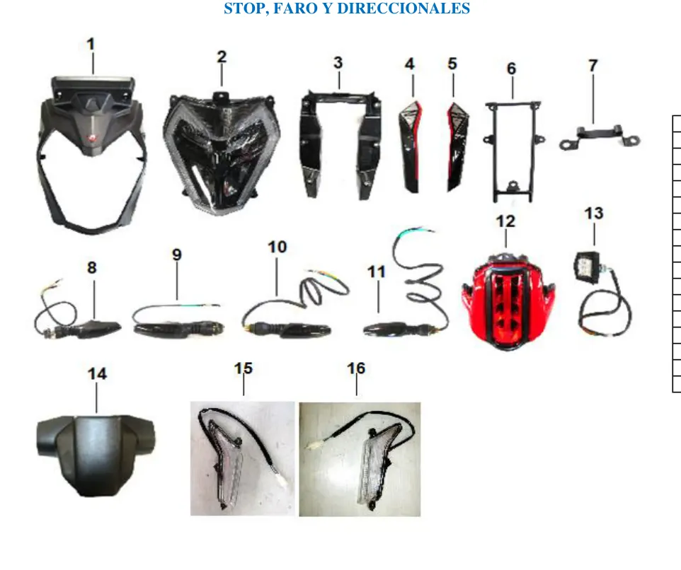Diagrama RZ300cc Rage 300Z