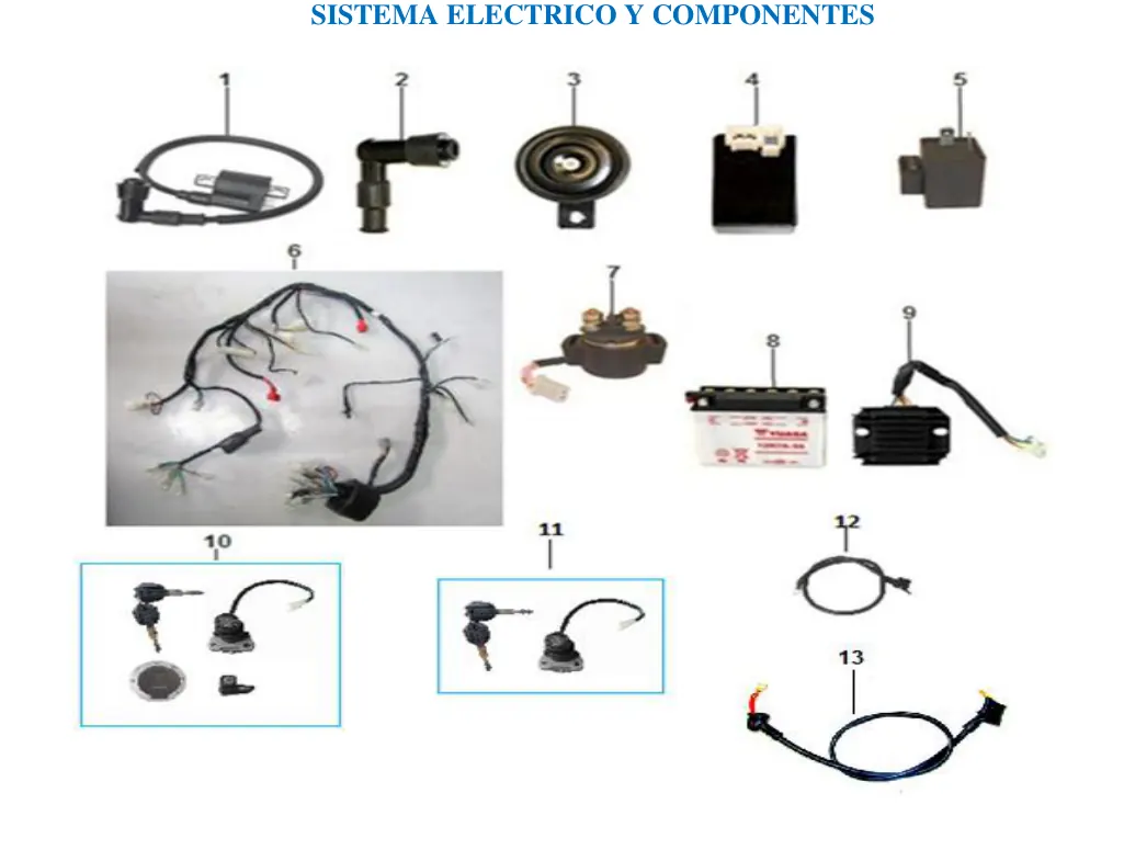 Diagrama MONTANA 250cc 2023 Islo Trip 150