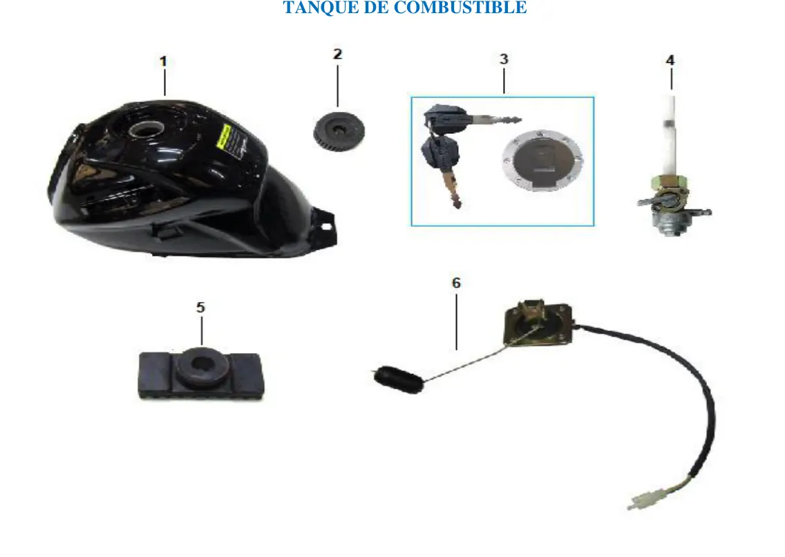 Diagrama MONTANA 250cc 2023 Islo Trip 150