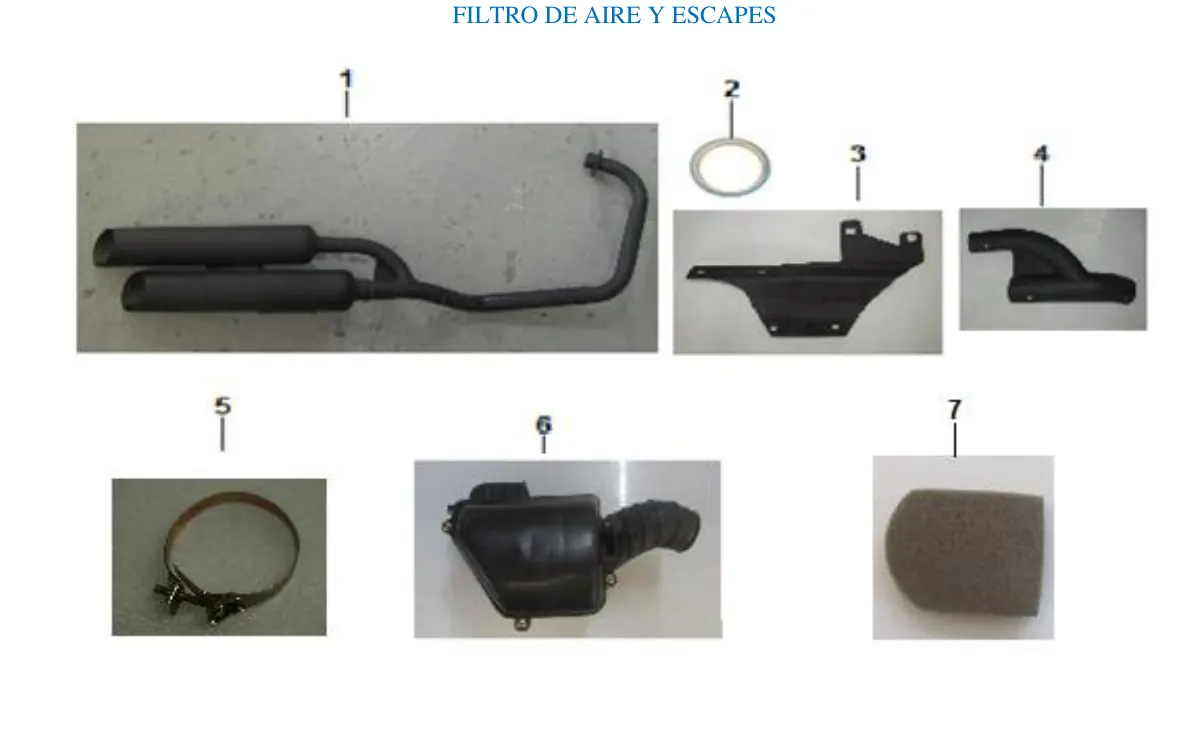 Diagrama Fishbone 2020 Fishbone 250