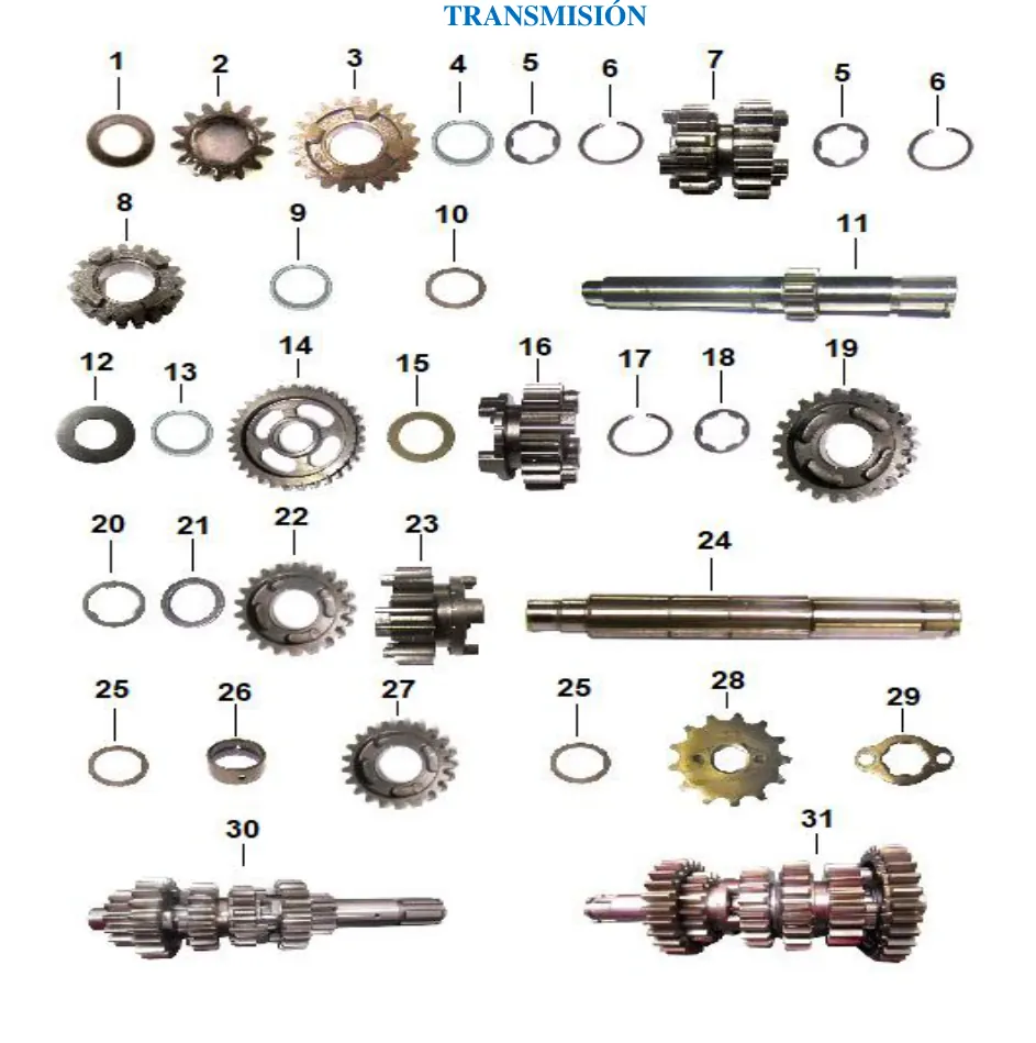 Diagrama RZ 300cc Rage 300Z