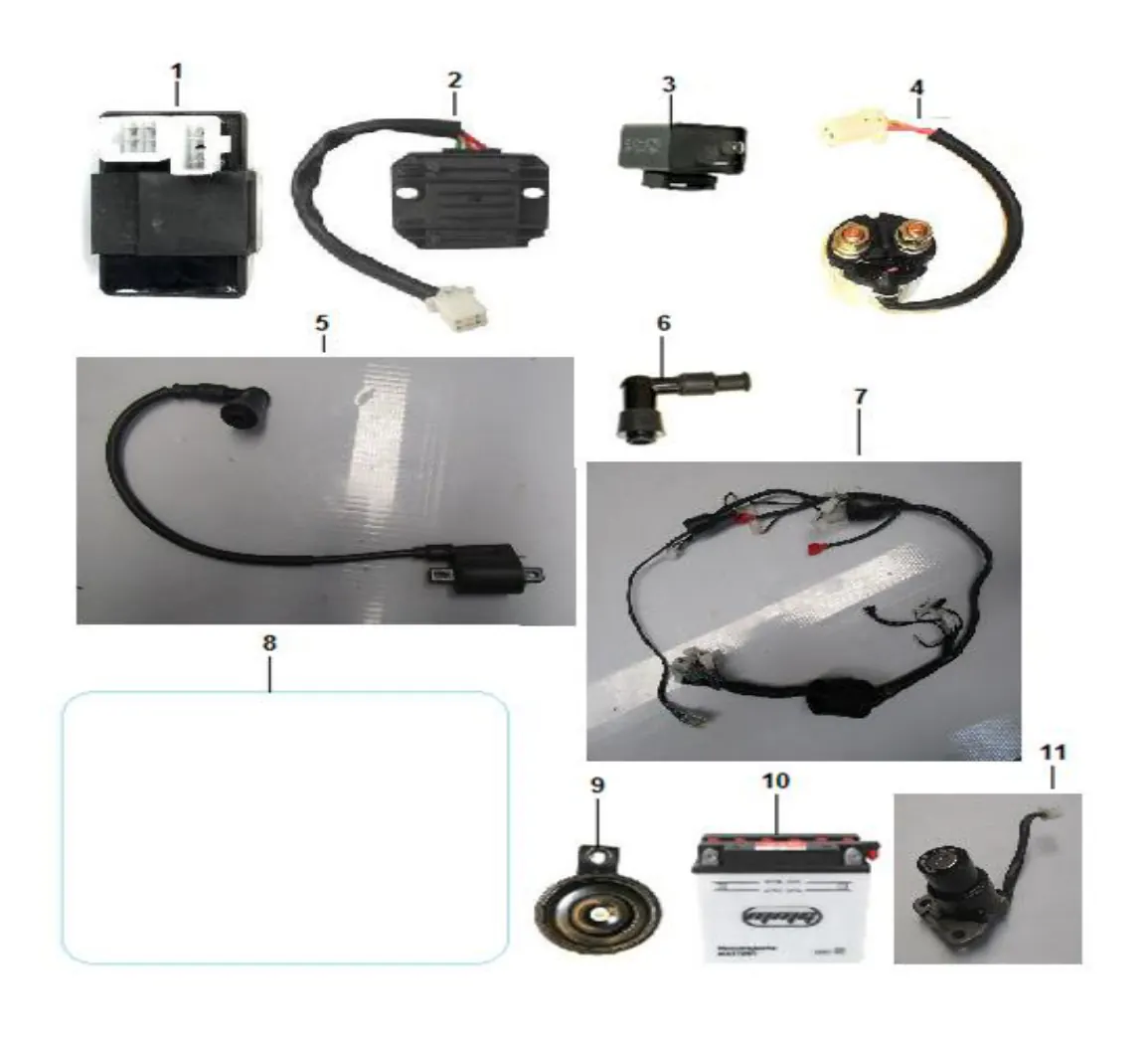 Diagrama Sistema electrico y componentes Goliath 250