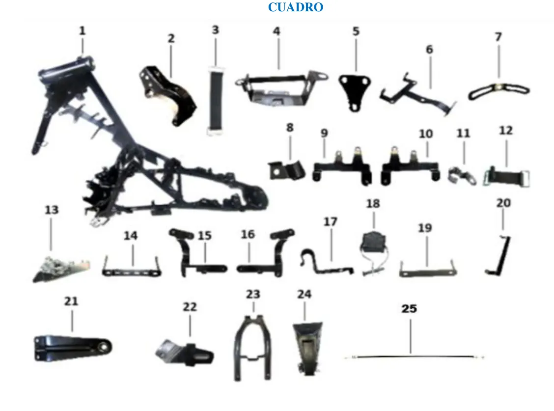 Diagrama CYBORG 250cc 2024 Cyborg 250