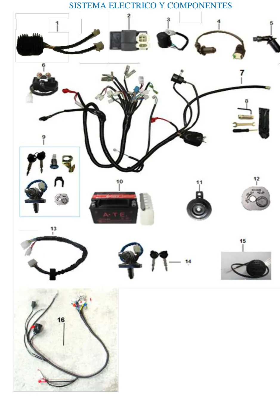 Diagrama GATOR 175cc Gator Sport 175