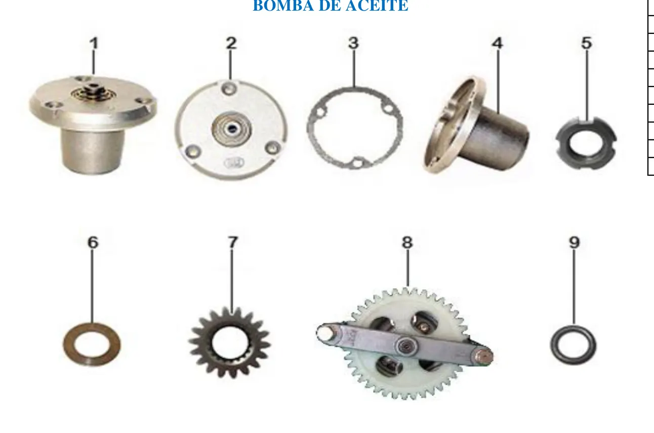 Diagrama TRIP 150cc Carabela Trip 150