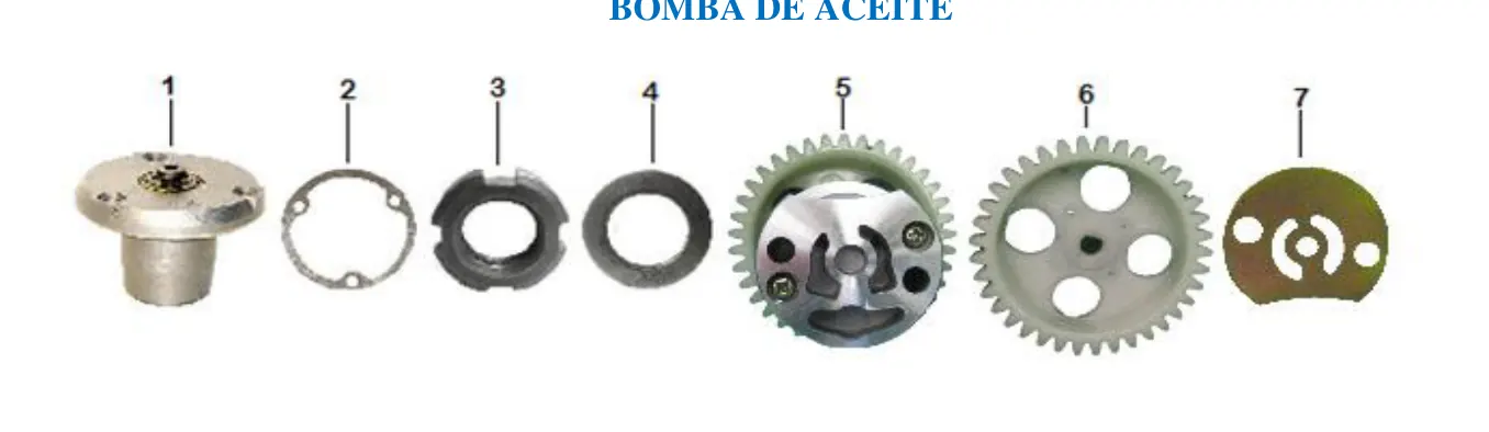 Diagrama INDY 250cc 2024 Indy 250