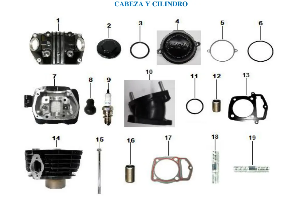 Diagrama Cabeza y cilindro Yakuza Sport Carabela