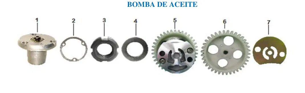 Diagrama R250Zcc 250cc 2024 R250Z