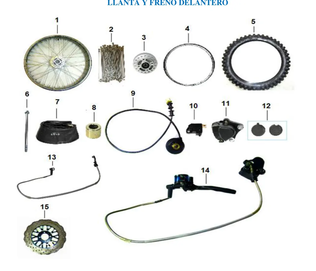 Diagrama MONTANA 250cc 2023 Islo Trip 150