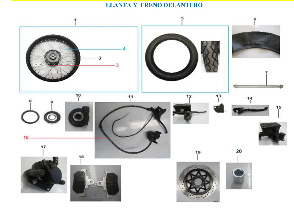 Diagrama Black wing 2021 Blackwing 250, 2021-2025