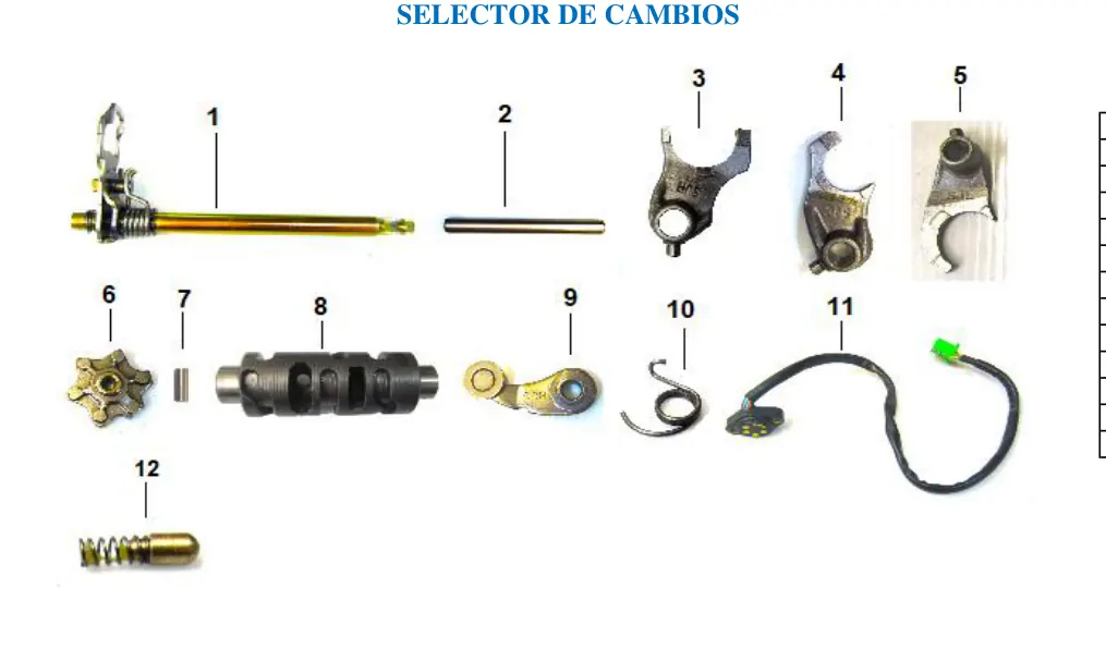Diagrama RZ300cc Rage 300Z