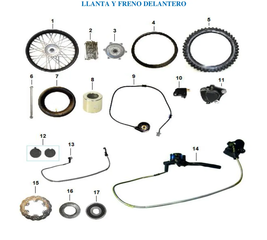 Diagrama DIRT-3 250cc 2023 Carabela Dirt3 250