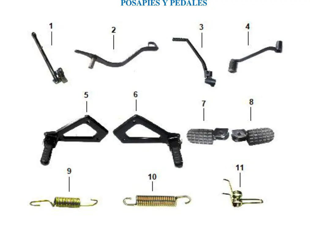 Diagrama MONTANA 250cc 2023 Islo Trip 150