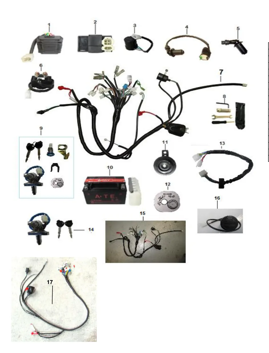 Diagrama Coyote Coyote Gp