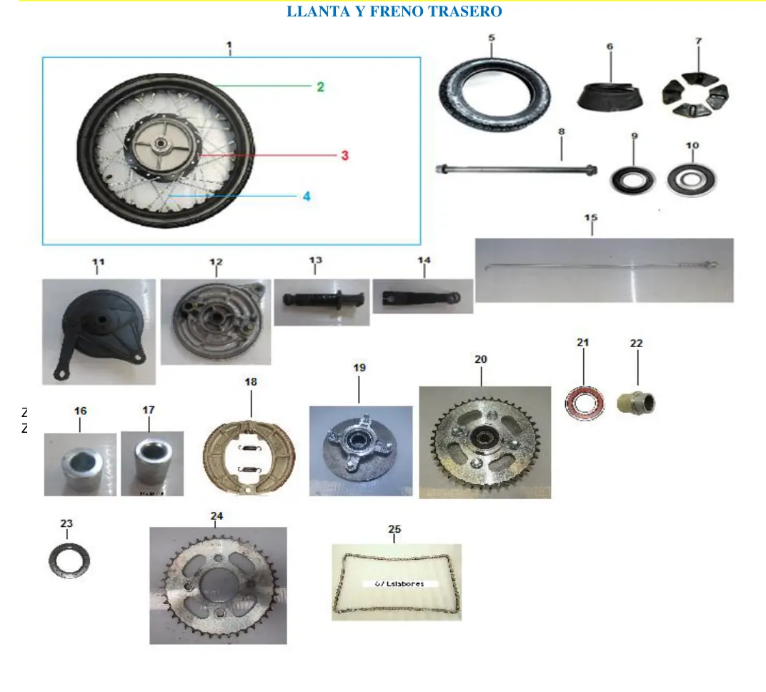 Diagrama Black wing 2021 Blackwing 250, 2021-2025