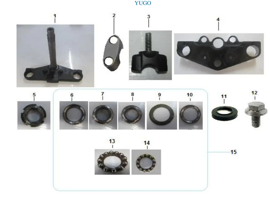 Diagrama Fishbone 2020 Fishbone 250