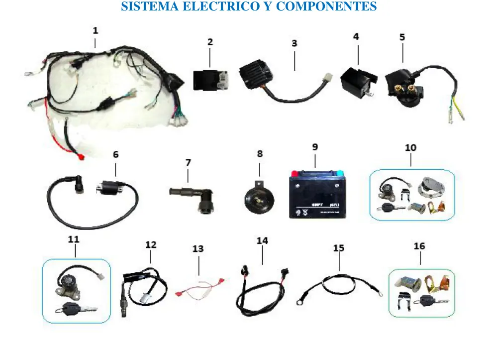 Diagrama CYBORG 250cc 2024 Cyborg 250