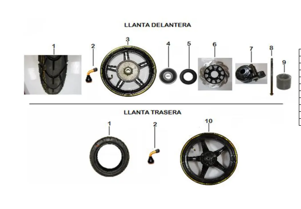 Diagrama Coyote Coyote Gp