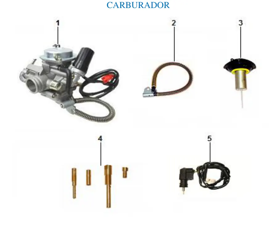 Diagrama GATOR 175cc Gator Sport 175