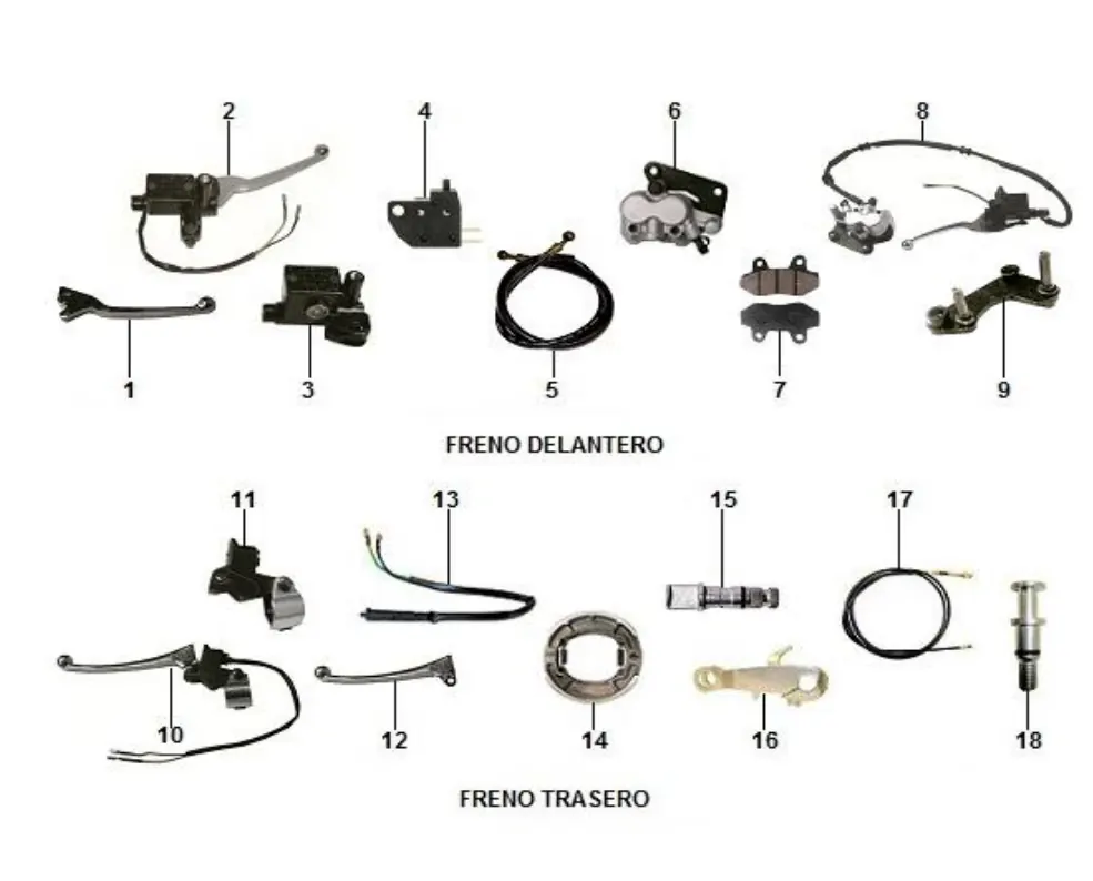 Diagrama Greaser 2023 Greaser Daytona
