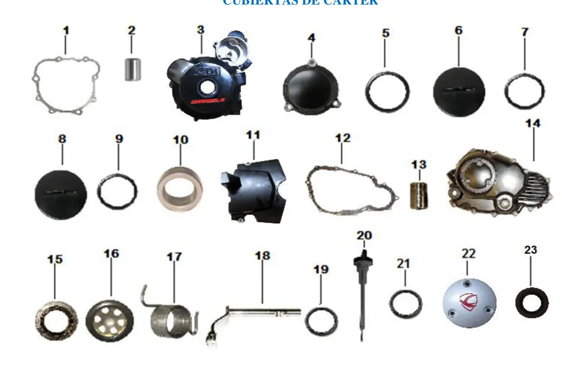 Diagrama R250Zcc 250cc 2024 R250Z
